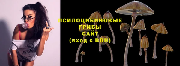 молекула духа Балахна