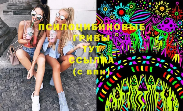 не бодяженный Арсеньев