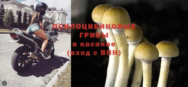дмт Баксан