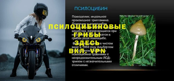 не бодяженный Арсеньев